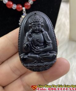 Phật Bản Mệnh Tuổi Hợi - Phật A Di Đà