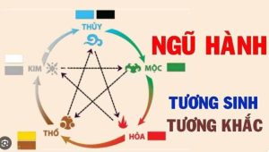 Phong Thuỷ - Kiến Thức Phong Thuỷ