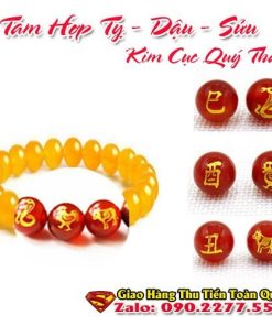 Vòng Tay Tám Hợp Tỵ Dậu Sửu - Vòng Tay Phong Thuỷ