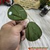 Kính Râm Trong Thủy Tinh - Kính Nam Cao Cấp
